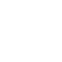 aa1998 icon