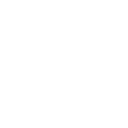 aa1998 icon